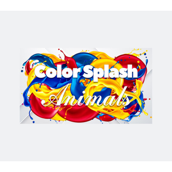 Color Splash: Animals Steam CD Key