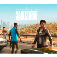 Saints Row Gold Edition Steam CD Key