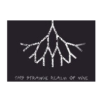 This Strange Realm Of Mine Steam CD Key