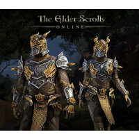 The Elder Scrolls Online - Dragon Slayer Bundle #1 DLC XBOX One / Series X|S CD Key