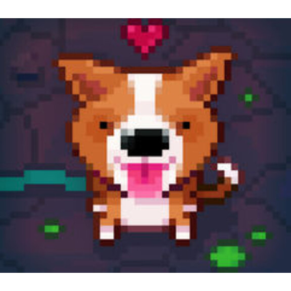 Fidel Dungeon Rescue PC Steam CD Key