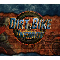 Dirt Bike Insanity Steam CD Key
