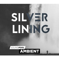 MAGIX Silver Lining ProducerPlanet CD Key