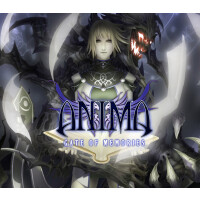 Anima: Gate of Memories EU Steam CD Key