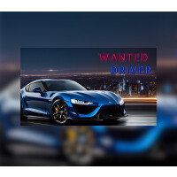 Wanted Driver Steam CD Key