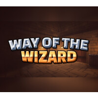 Way of the Wizard Steam CD Key