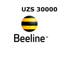 Beeline 30000 UZS Mobile Top-up UZ