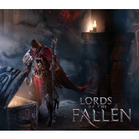 Lords of the Fallen PC Steam Account