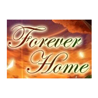 Forever Home Steam CD Key