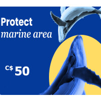 Dots.eco - Protect Marine Area C$50 Gift Card CA