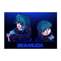 Bermuda Steam CD Key