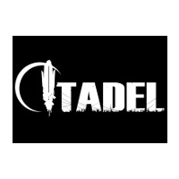 Citadel Steam CD Key