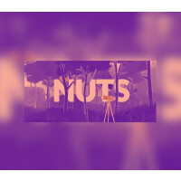 NUTS Steam Altergift