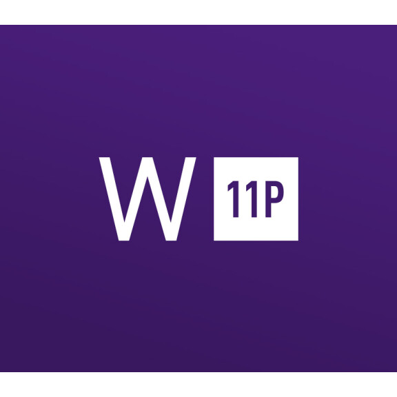 Windows 11 Professional OEM Key