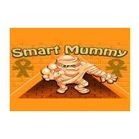 Smart Mummy Steam CD Key