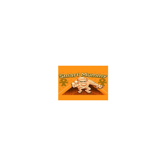 Smart Mummy Steam CD Key