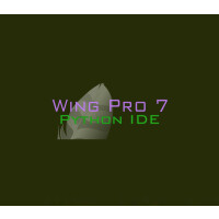 Wing Pro 7 Steam CD Key