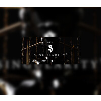 Singularity 5 VR Steam CD Key