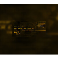 Hacker Evolution Steam CD Key