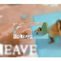 To Leave Steam CD Key