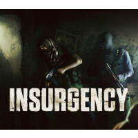 Insurgency Steam CD Key