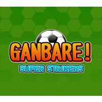 Ganbare! Super Strikers Steam CD Key
