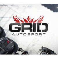 GRID Autosport Steam Gift