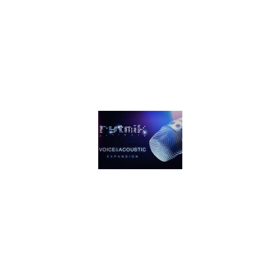 Rytmik Ultimate – Voice & Acoustic Expansion DLC Steam CD Key