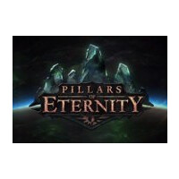 Pillars of Eternity Hero Edition RU VPN Activated Steam CD Key