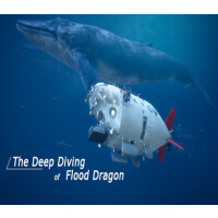 The Deep Diving of FloodDragon Steam CD Key