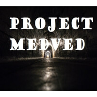 Project Medved Steam CD Key