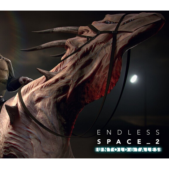 Endless Space 2 - Untold Tales DLC EU Steam CD Key