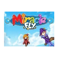 Miracle Fly Steam CD Key