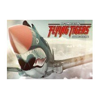 Flying Tigers: Shadows Over China Steam CD Key