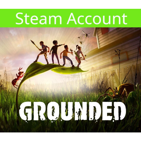 Grounded Steam Account