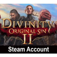 Divinity: Original Sin 2 Steam Account