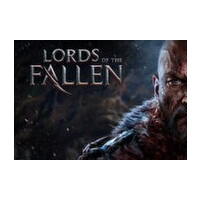 Lords of the Fallen - Full DLCs Pack Steam CD Key