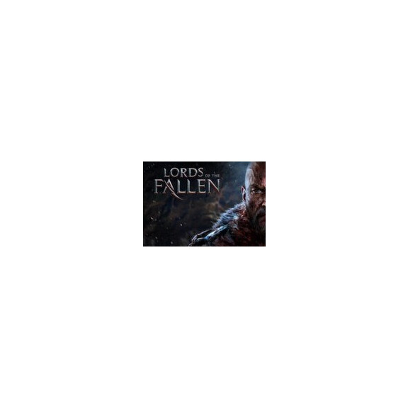 Lords of the Fallen - Full DLCs Pack Steam CD Key