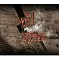 RPG Maker VX Ace - Wild Steam Resource Pack DLC Steam CD Key