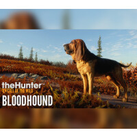 theHunter: Call of the Wild - Bloodhound DLC Steam CD Key