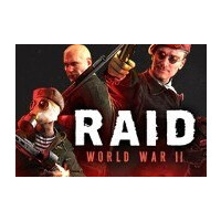 RAID: World War II DE Steam CD Key