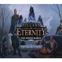 Pillars of Eternity: The White March Expansion Pass RU VPN Activated Steam CD Key