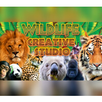Wildlife Creative Studio PC Steam CD Key