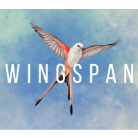 Wingspan Steam CD Key
