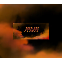Into The Flames EU v2 Steam Altergift