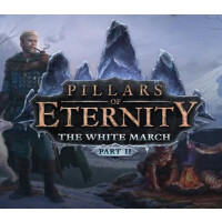 Pillars of Eternity - The White March Part II DLC RU VPN Activated Steam CD Key