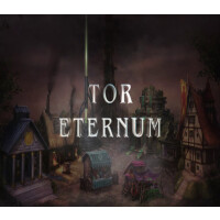 Tor Eternum Steam CD Key