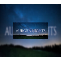 Aurora Nights Steam Gift