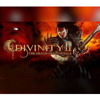 Divinity II: The Dragon Knight Saga Steam Gift