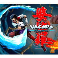 VASARA Collection Steam CD Key